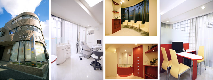 ���É��̒ߔ�����